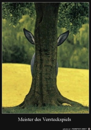 Versteck-Künstler.jpg auf www.funpot.net