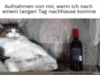 Es war ein langer Tag