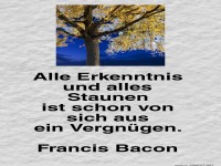 Alle Erkenntnis und alles