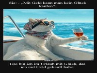 Urlaubsluxus: Katze mit Stil auf dem Boot