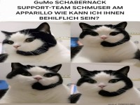Katzen-Support: Wir helfen nur mit Schnurren!