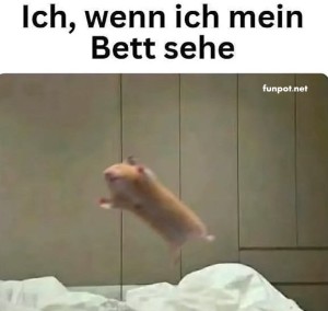 fun-Bild: Fliegender Start ins Traumland