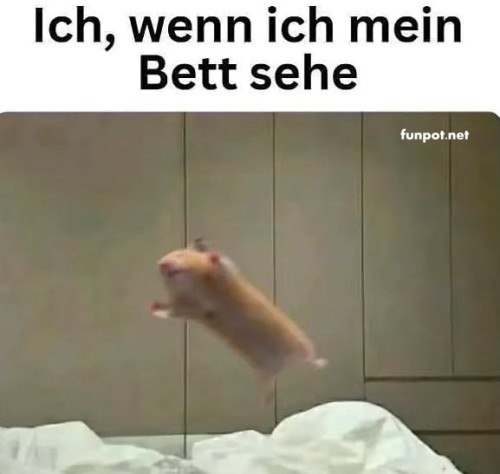 Fliegender-Start-ins-Traumland.jpg auf www.funpot.net