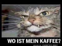 Wo ist der Kaffee?