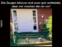 Entenalarm vor der Haust�r!