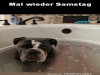 weiter