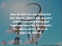 Gefuehl ist die Sprache der Liebe