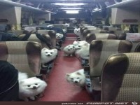 wo bleibt unser Futter?