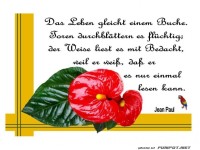 Das Leben gleicht einem Buche