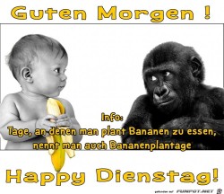 Dienstag.jpg auf www.funpot.net
