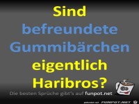 Befreundete Gummib�rchen