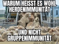 Herdenimmunit�t