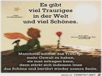 Es gibt viel trauriges in der Welt