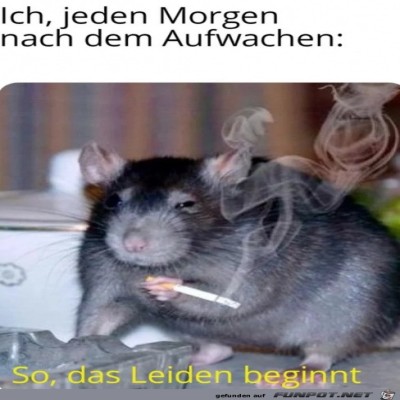 Nach-dem-Aufwachen.jpg von Lou