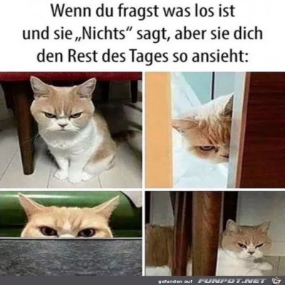 Dieser-Blick.jpg von Alya