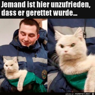 B&ouml;ser-Blick.jpg von Lillian