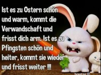 Lustiger Oster- und Pfingstspruch mit Hase