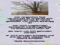 wer nirgendwo fest verwurzelt ist