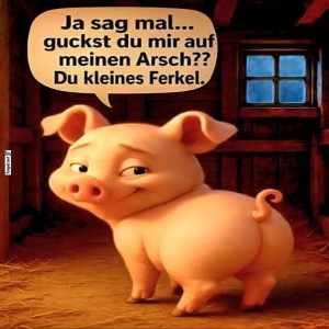 Freches-Ferkel-mit-humorvoller-Frage.jpg von Deniz