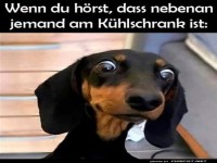 Witziger Hund schaut �berrascht