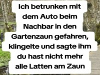 Autounfall und Gartenzaun Missgeschick