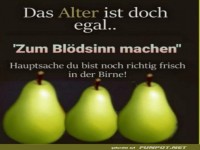 Frische Birne, freche Ideen!