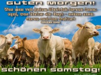 Muuuuutig in den Samstag starten!