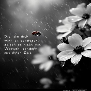 Marienk�fer-im-Blumenregen:-Zeit-statt-Worte.jpg von Leif
