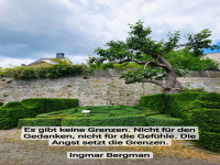 es gibt keine grenzen