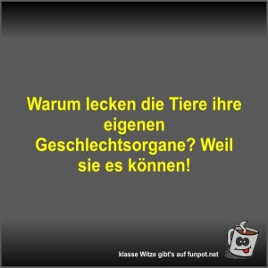 Warum-lecken-die-Tiere-ihre-eigenen-Geschlechtsorgane?.jpg von Fossy