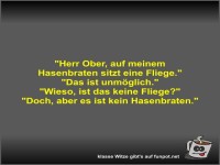 Herr Ober, auf meinem Hasenbraten sitzt eine Fliege
