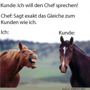 fun-Bild: Wenn Pferde die Kundenberatung &uuml;bernehmen