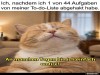 weiter