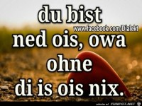 ohne di
