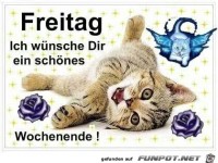 Freitag