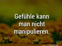 Gefuehle kann man nicht