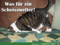 Scheisswetter