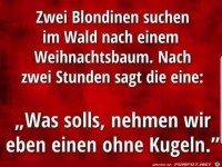 Zwei Blondinen im Wald