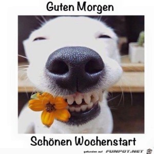 Begr&uuml;&szlig;ungsbild
