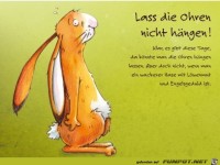 lass die ohren nicht haengen