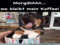 Welpe wnscht dir einen guten Morgen