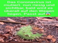 Das Virus ist nun riesig und liegt auf den Wegen