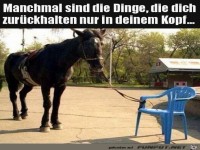 Dinge in deinem Kopf halten sich zur�ck