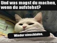 Was willst du nach dem Aufstehen machen?