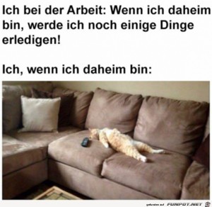 Was-ich-daheim-nach-der-Arbeit-mache.jpg auf www.funpot.net