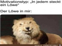 Super L�we