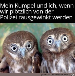 So-ein-Mist.jpg auf www.funpot.net