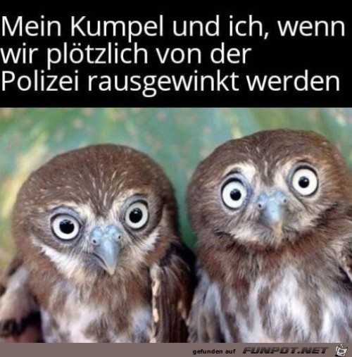 So-ein-Mist.jpg auf www.funpot.net