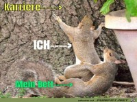 Mein Bett ist schuld