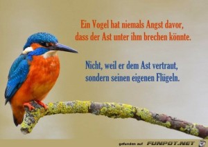Vertrauen-in-sich-selbst.jpg auf www.funpot.net